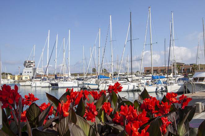 Yacht & garden
